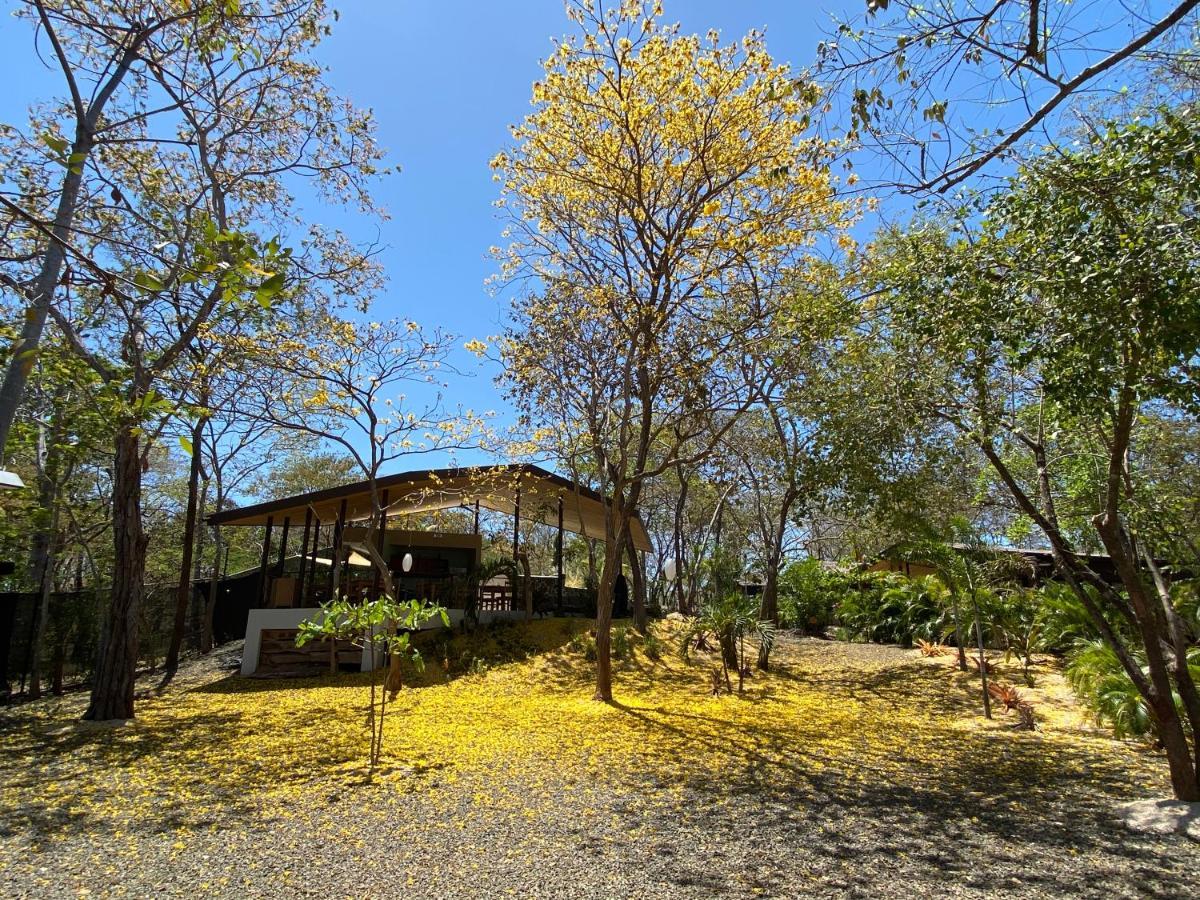 Villas Kalei ปลายา กรานเด ภายนอก รูปภาพ
